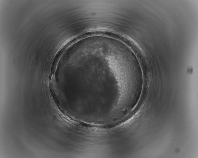 X0000100370921200806131034