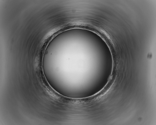 X0000100370922200806131034