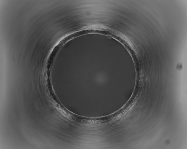 X0000100370923200806131034