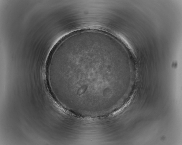 X0000100370924200806131034