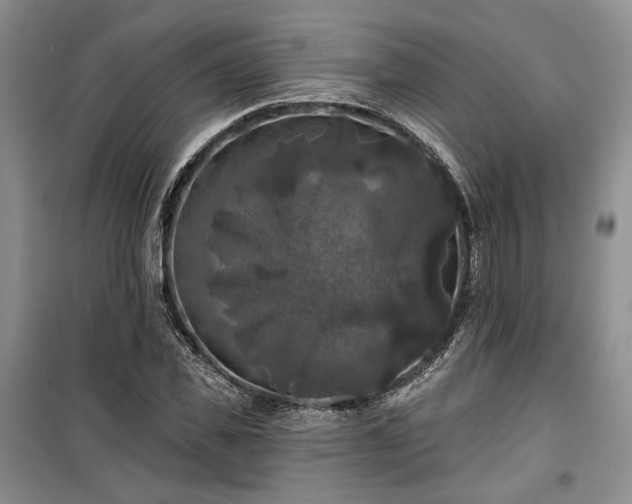 X0000100370925200806131034