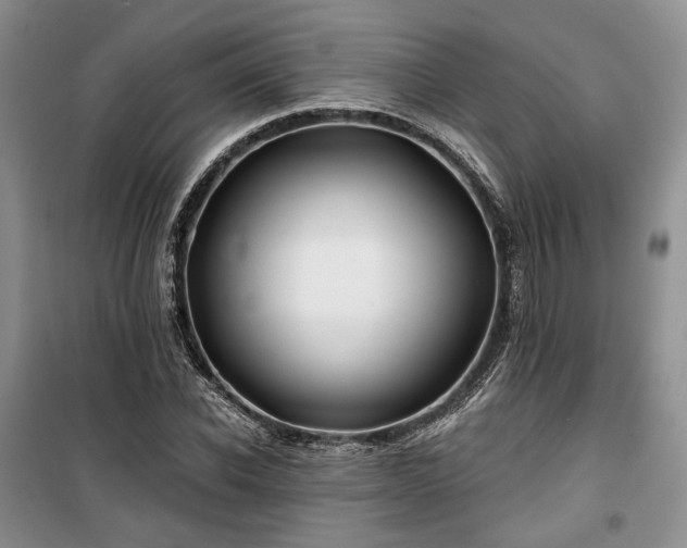 X0000100370926200806131034