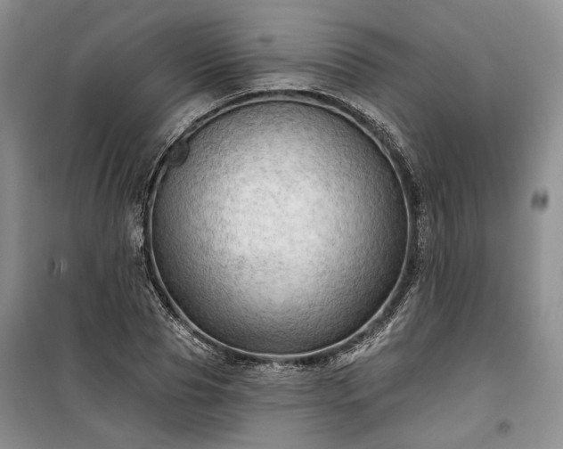 X0000100370929200806131034