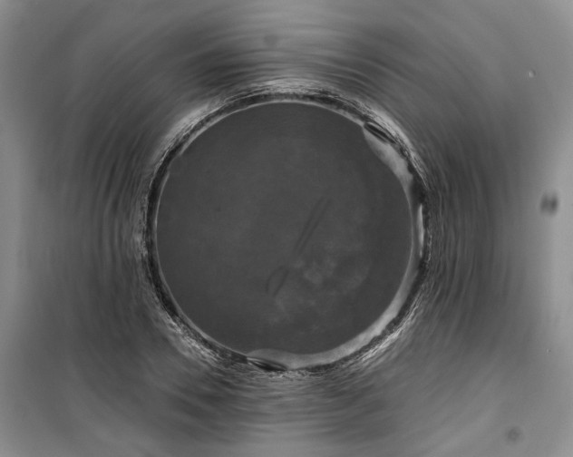 X0000100370930200806131034