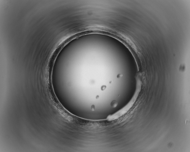 X0000100370931200806131034