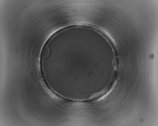 X0000100370932200806131034