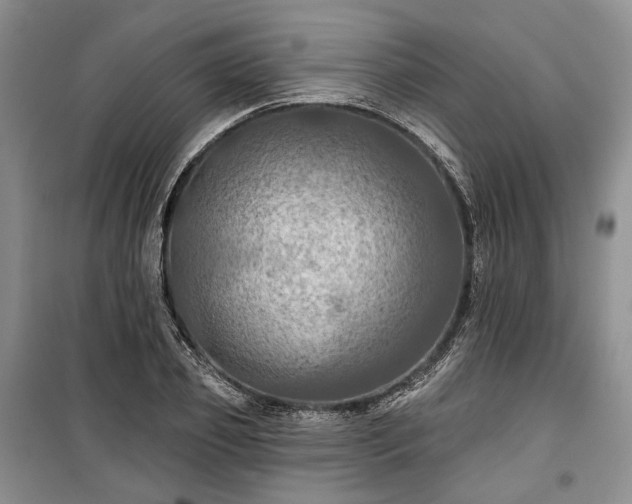 X0000100370933200806131034