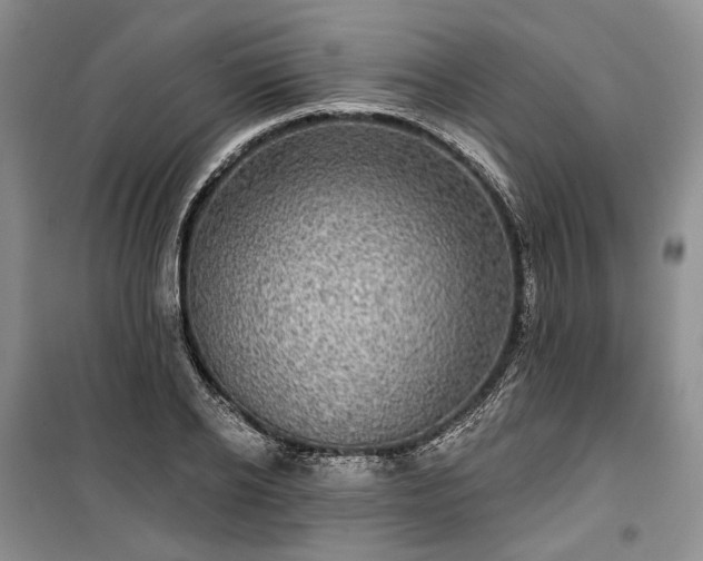 X0000100370934200806131034