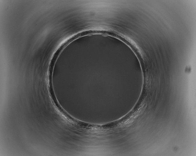 X0000100370935200806131034