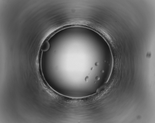 X0000100370936200806131034