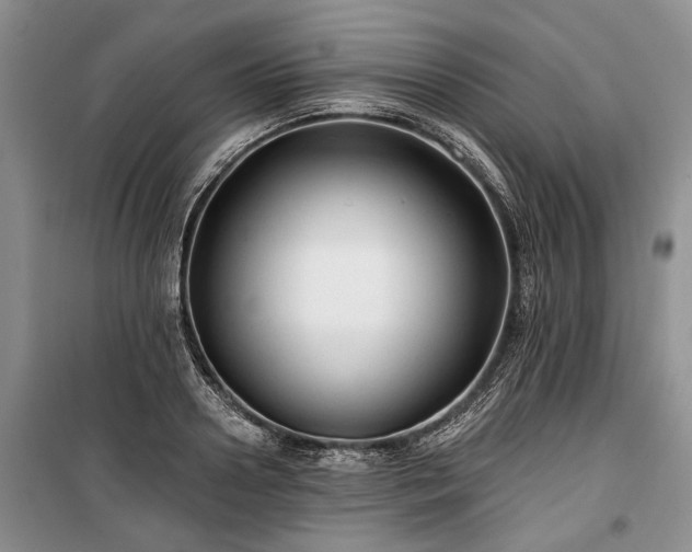 X0000100370938200806131034