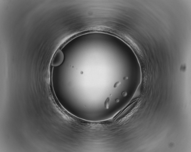 X0000100370940200806131034