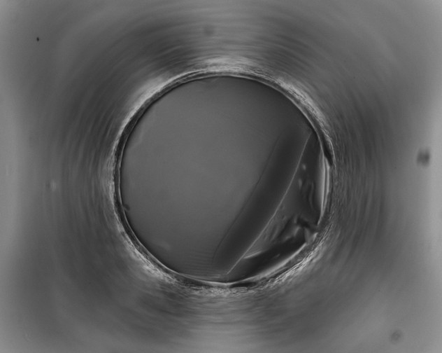 X0000100370941200806131034