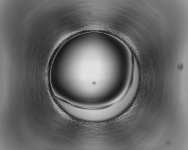 X0000100370942200806131034