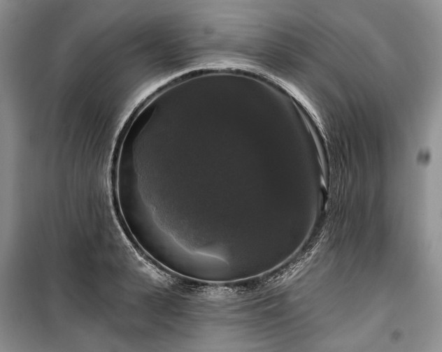 X0000100370943200806131034