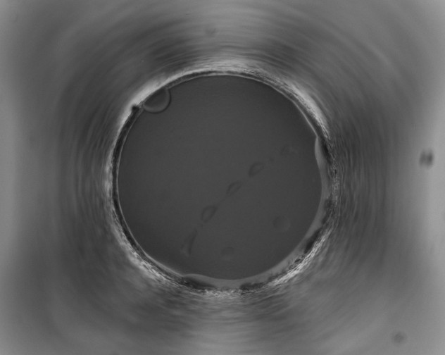 X0000100370944200806131034