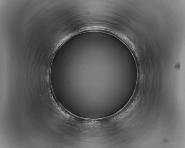 X0000100370945200806131034