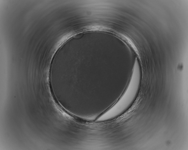 X0000100370946200806131034