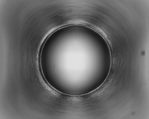 X0000100370947200806131034