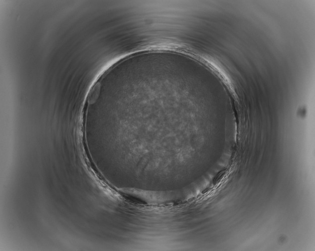 X0000100370948200806131034