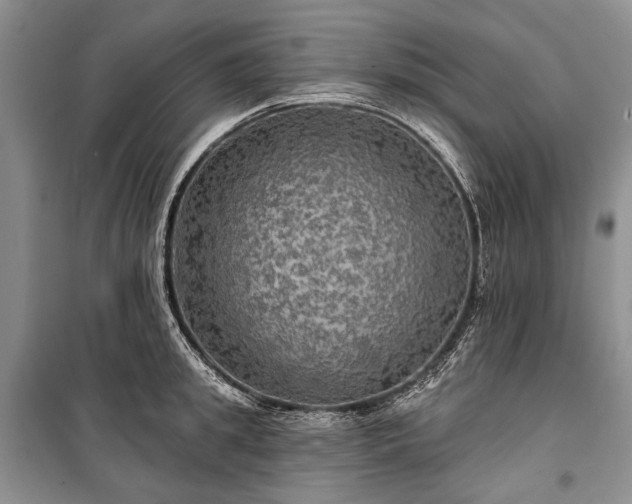 X0000100370949200806131034