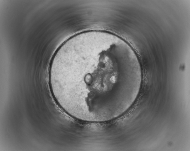 X0000100370950200806131034