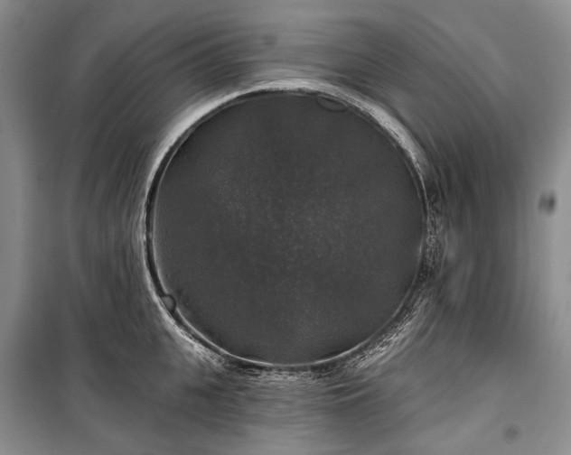 X0000100370951200806131035