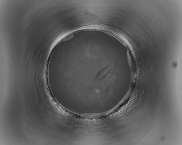 X0000100370952200806131035