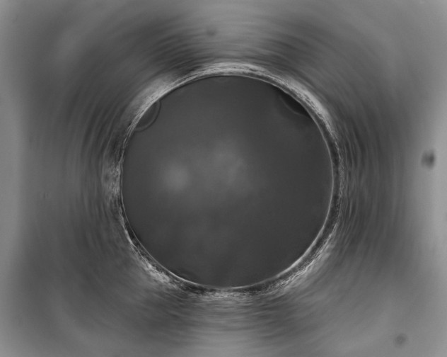 X0000100370953200806131035