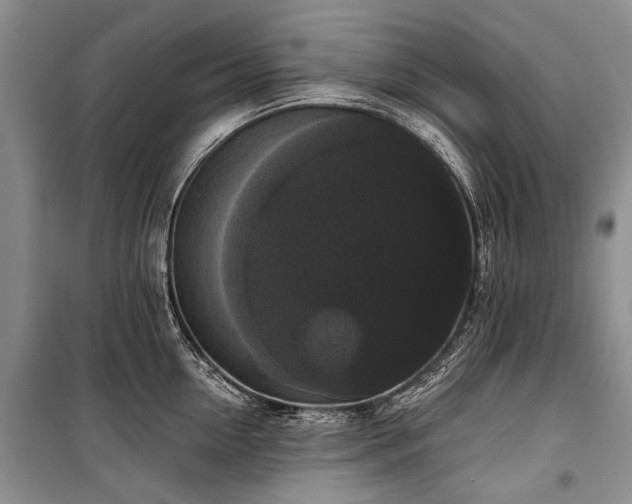 X0000100370954200806131035