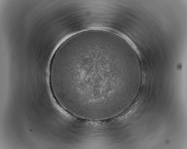 X0000100370955200806131035