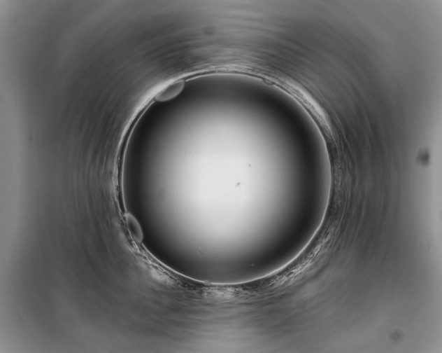 X0000100370956200806131035