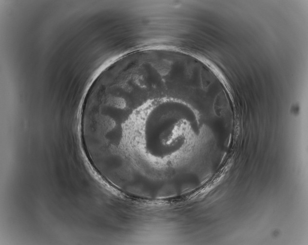 X0000100370957200806131035