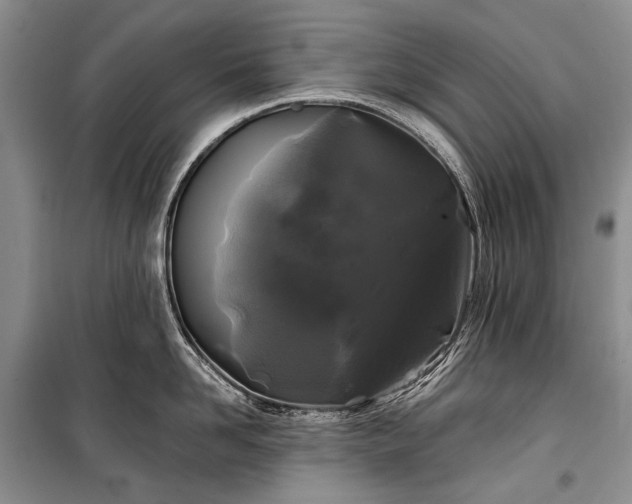 X0000100370958200806131035