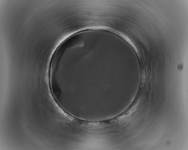 X0000100370959200806131035