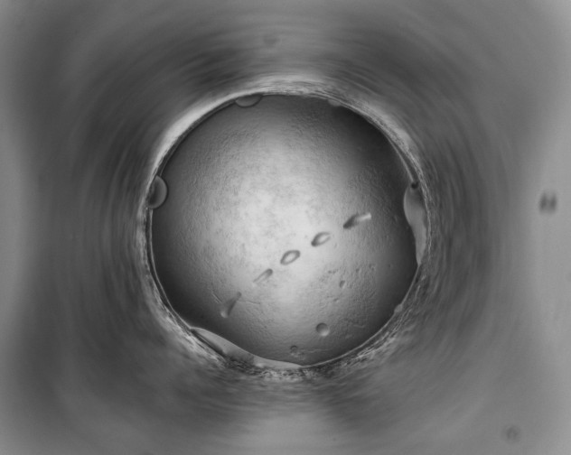 X0000100370960200806131035