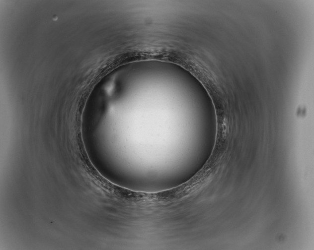 X0000100370961200806131034