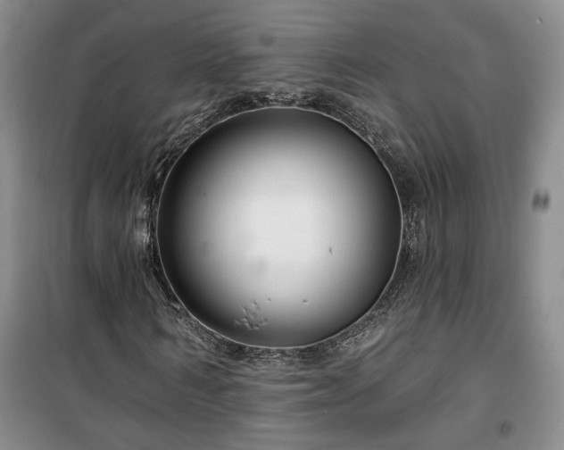 X0000100370962200806131034