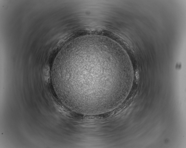 X0000100370963200806131034