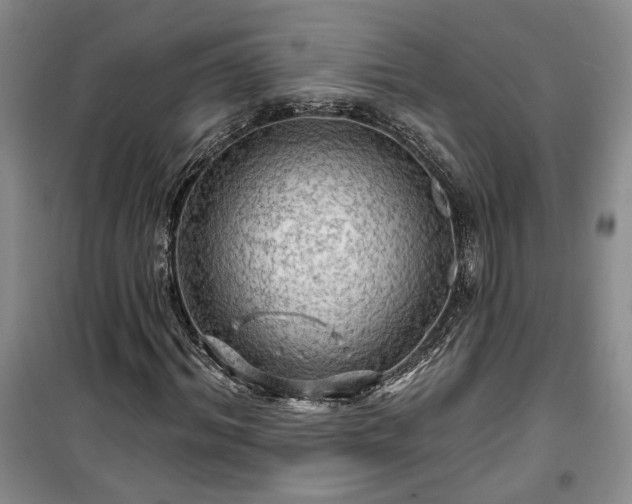 X0000100370964200806131034