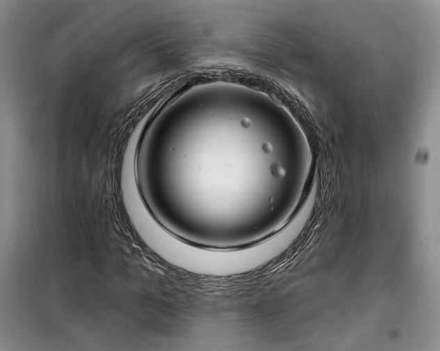 X0000100370965200806131034