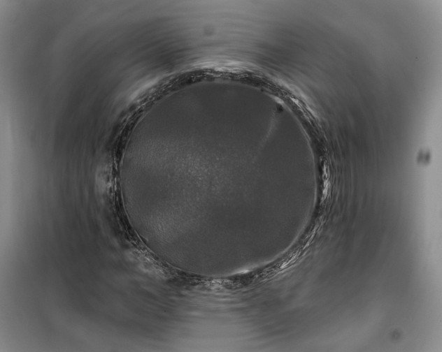 X0000100370966200806131034