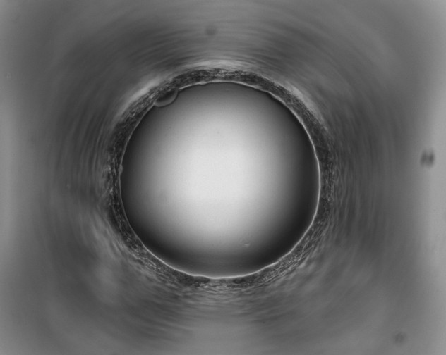 X0000100370967200806131034