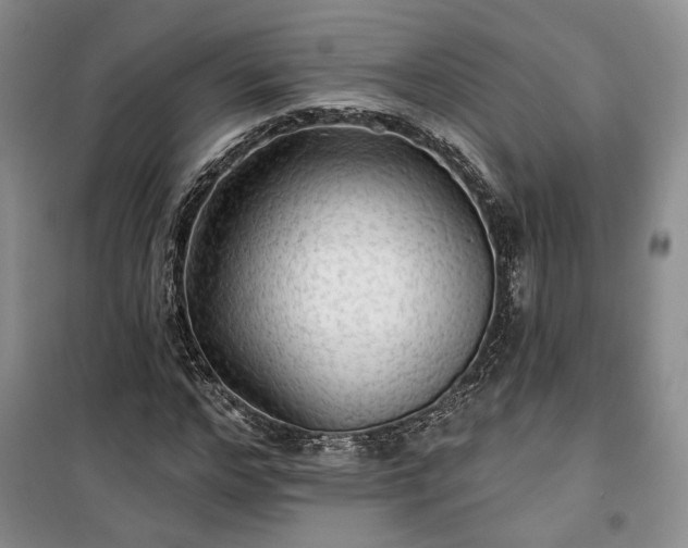 X0000100370968200806131034