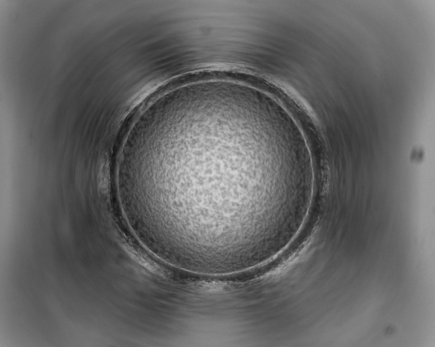 X0000100370969200806131034