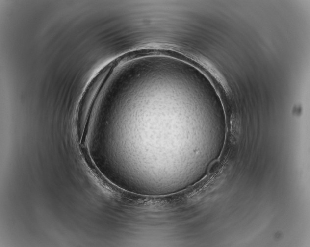 X0000100370972200806131034