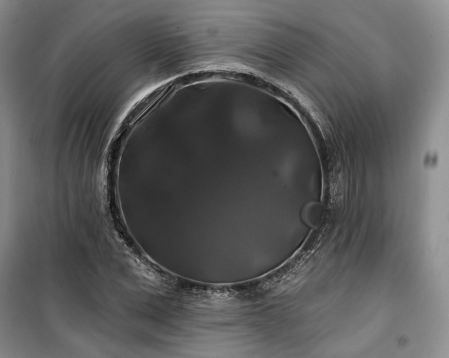 X0000100370975200806131034