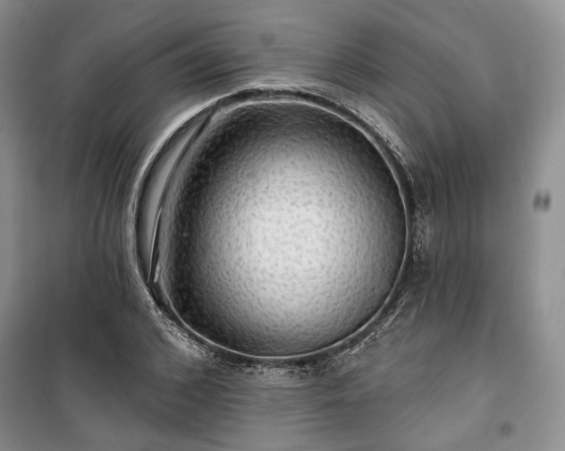 X0000100370976200806131034