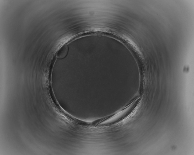 X0000100370977200806131034