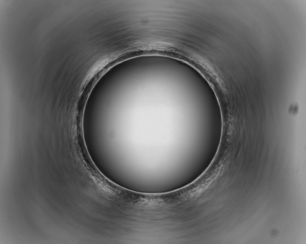 X0000100370978200806131034